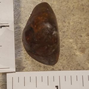 ANTIC BALTIC AMBER STONE  7.7 GRAMS